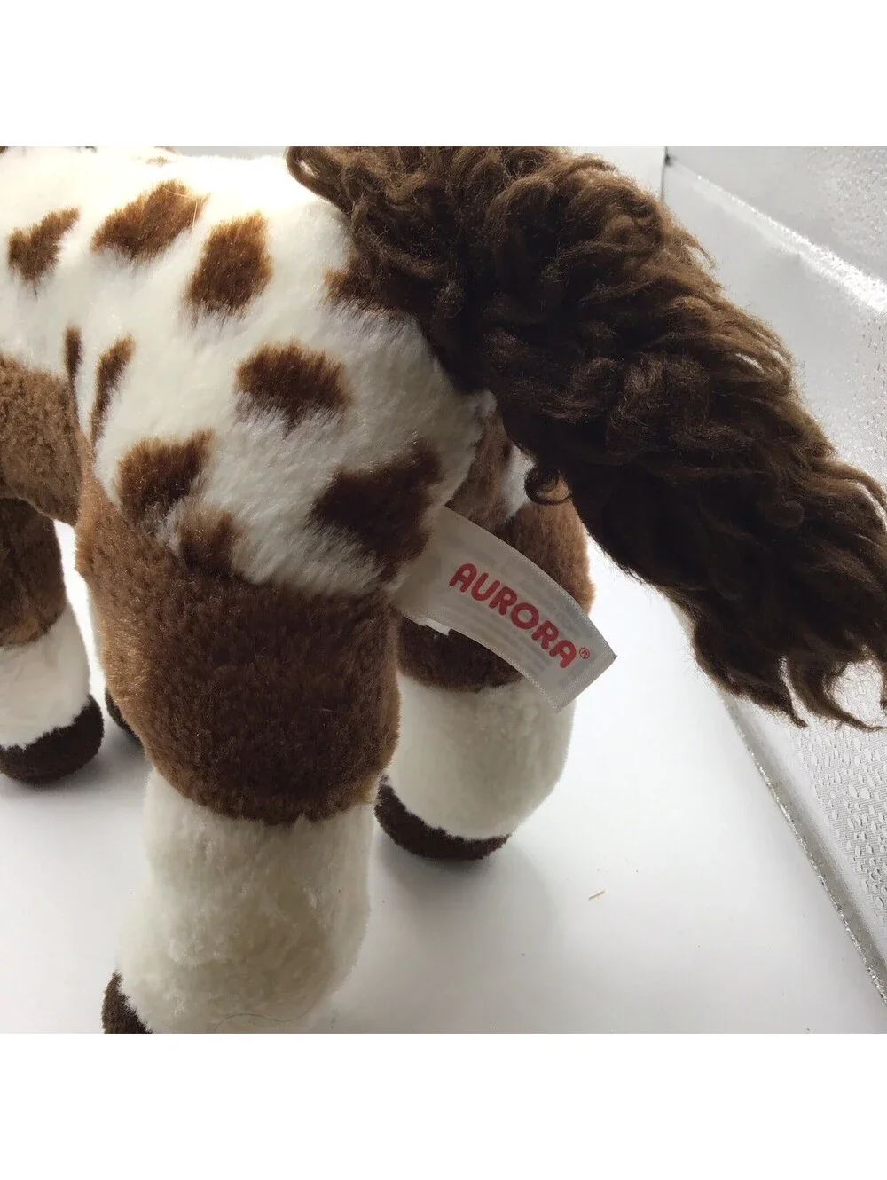Aurora appaloosa horse
